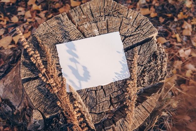Foto hochzeitseinladung vorlage karte mockup ansicht von oben gestylt stock photography weißes blatt papier