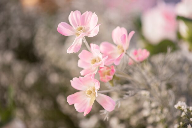 Hochzeitshintergrund mit Blumen- und Hochzeitsdekoration