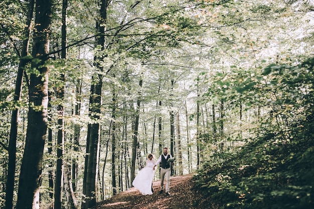 Hochzeitspaar auf Bergen