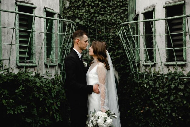 Hochzeitspaar im Garten. Botanischer Garten. Hochzeitszeremonie im Botanischen Garten. Jungvermählten in der Natur. der bräutigam und die braut umarmen sich vor dem efeubewachsenen hintergrund des gebäudes.