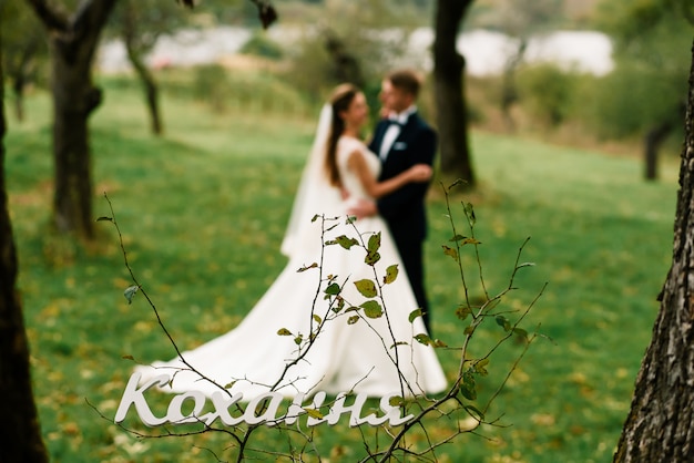 Hochzeitspaare, die im Park umarmen und küssen