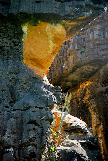 Höhlenhintergrundtextur