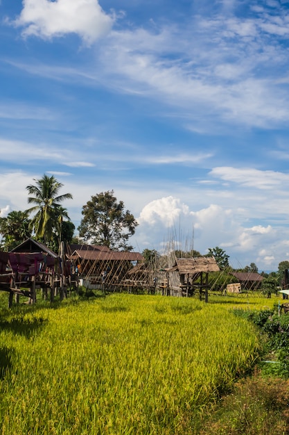 Hölzerne Brücke neben grünem Bauernhof in Nan, nördlich von Thailand, blauer Himmel, Wolke des blauen Himmels