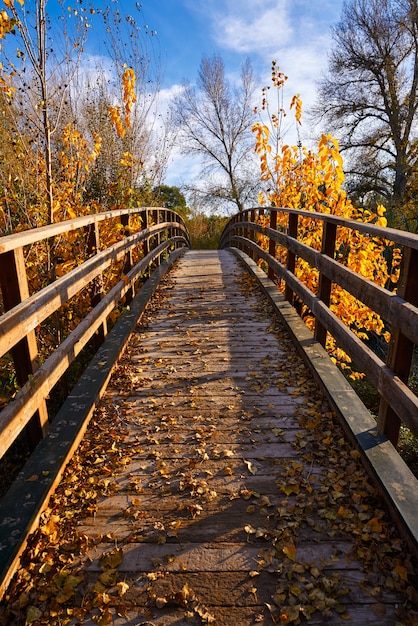 Hölzerne brücke parque de turia des sonnenuntergangherbstes