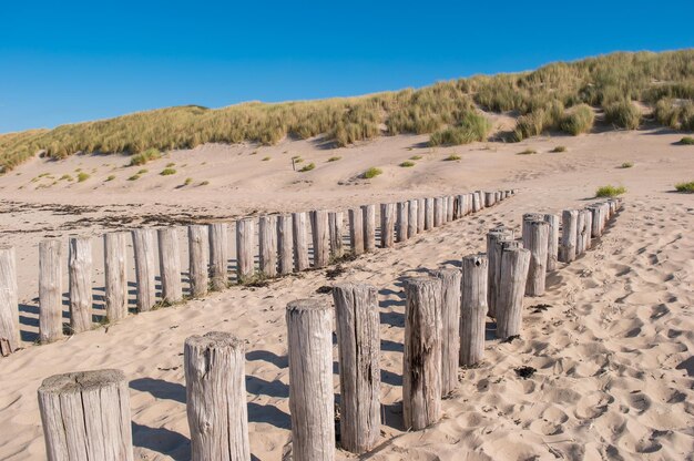 Hölzerne Buhnen auf schönen Sandstranddünen in Domburg Zeeland Holland