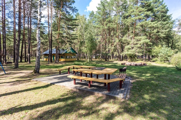 Hölzerne Campinglauben mit allem Komfort in einem Kiefernwald