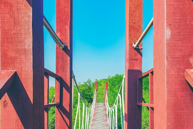 Hölzerne gehende Brücke im Mangrovenwald