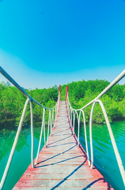 Hölzerne gehende Brücke im Mangrovenwald