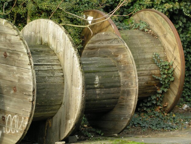 Foto hölzerne rollen von pflanzen