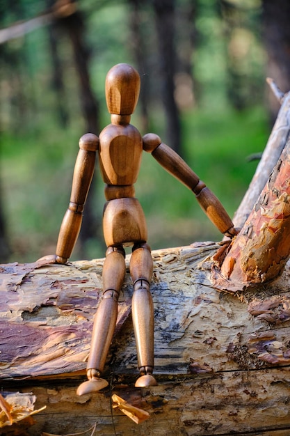 Hölzerne Schaufensterpuppe sitzt umgestürzten Baum im Wald