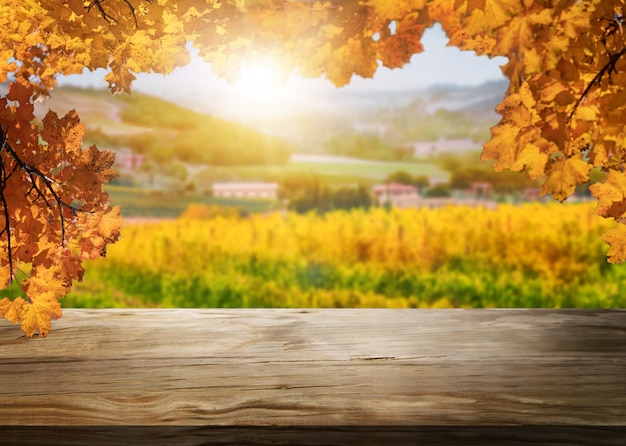 Hölzerne Tabelle in der Herbstweinberg-Landlandschaft.