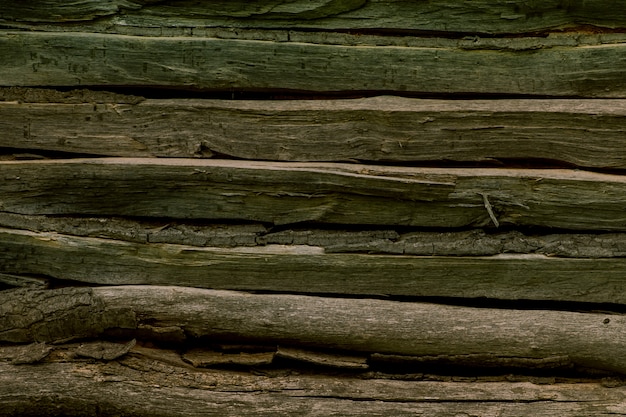 Hölzerne Waldmauer