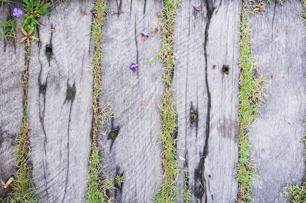 Hölzerner Beschaffenheitshintergrund mit grünem Gras