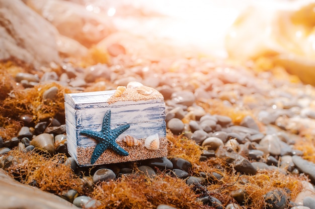 Hölzerner dekorativer Kasten mit Muscheln und blauer Stern auf der Seeküste.