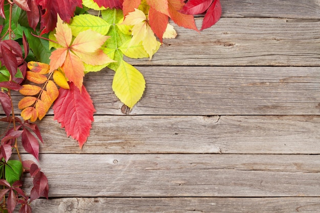 Hölzerner Hintergrund des Herbstes