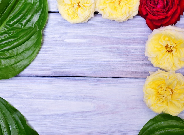 Hölzerner Hintergrund mit den Knospen von Rosen