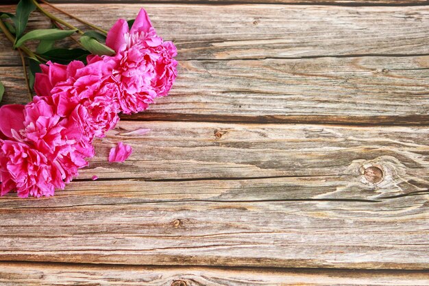 Hölzerner Hintergrund mit rosa Pfingstrosen