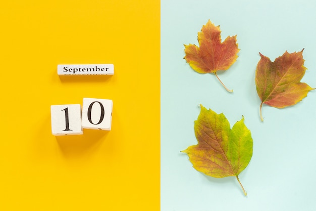 Hölzerner Kalender am 10. September und gelber Herbstlaub