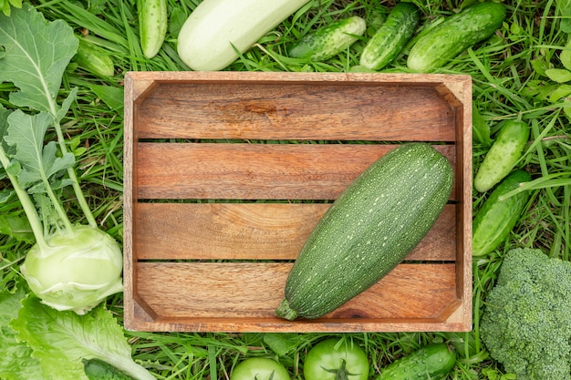 Hölzerner Kasten und grünes Gemüse auf dem Konzept der gesunden Ernährung des Grases Ernten