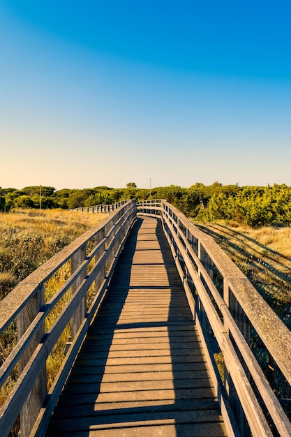 Hölzerner Laufsteg am Strand