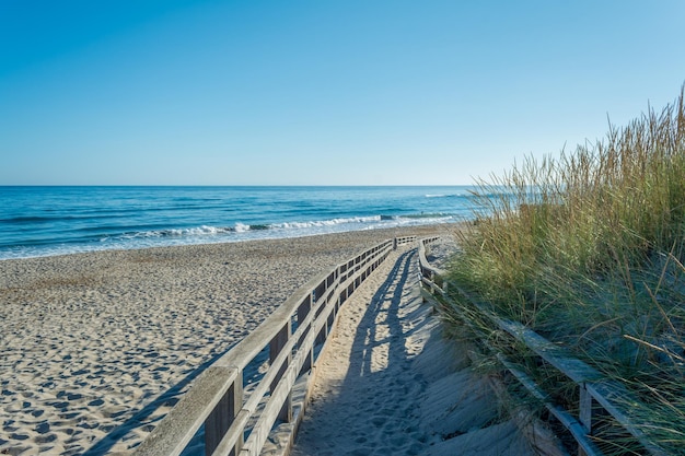 Hölzerner Laufsteg am Strand