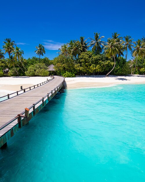 Hölzerner Pierweg, Fußgängerbrücke in die paradiesische Insel, tropisches Strandufer. Palmen sand sonniger Meereshimmel