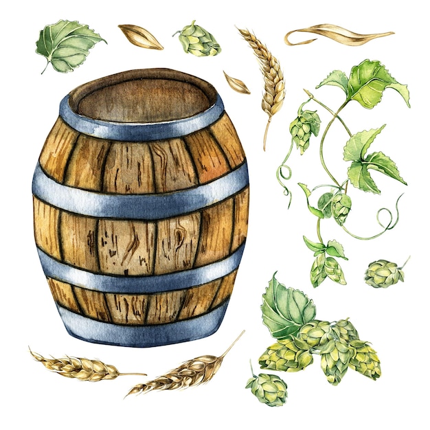 Hölzernes Bierfass und Hopfenreben-Weizenohr-Aquarellillustration lokalisiert auf Weiß