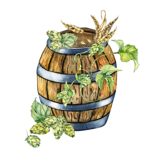 Hölzernes Bierfass und Hopfenreben-Weizenohr-Aquarellillustration lokalisiert auf Weiß