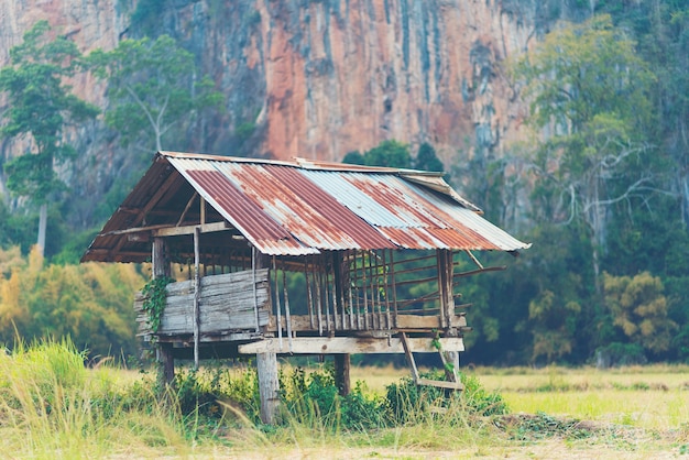 Hölzernes Häuschen auf dem Reisfeld, Landschaft von Thailand