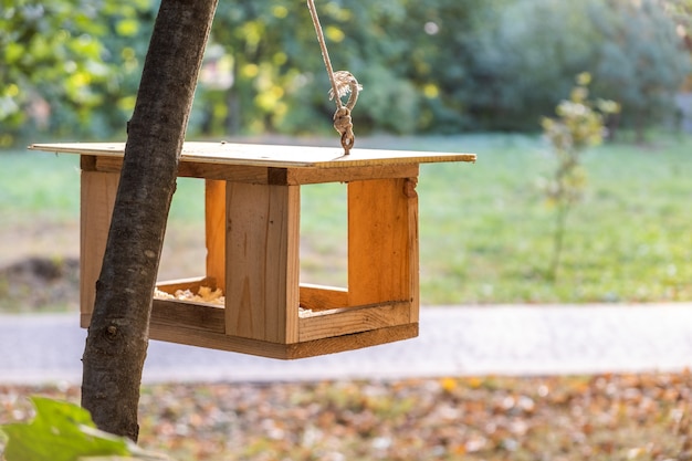 Hölzernes Vogelhäuschen auf einem Baum im Herbstpark.