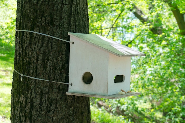 Hölzernes Vogelhaus auf einem Baum im Frühjahr bei klarem Wetter.