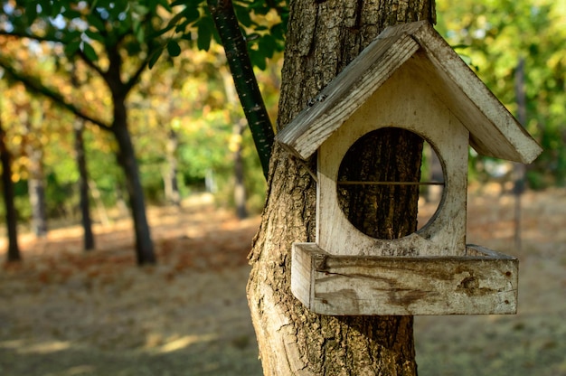 Hölzernes Vogelhaus oder Feeder, das am Baum in einem Park befestigt ist.