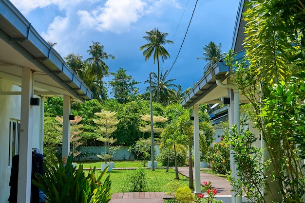 Hof mit grünen Bäumen in einer Cottage-Stadt in den Tropen. Resort auf der Insel