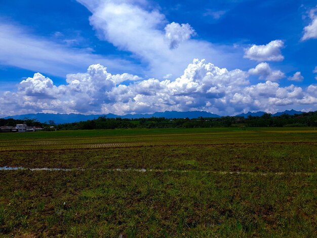 Hoflage und wunderschöner blauer Himmel