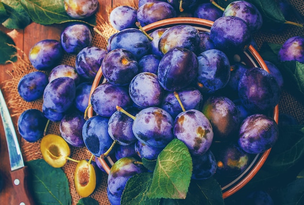 Hogar de ciruelas maduras para hacer mermelada. naturaleza.