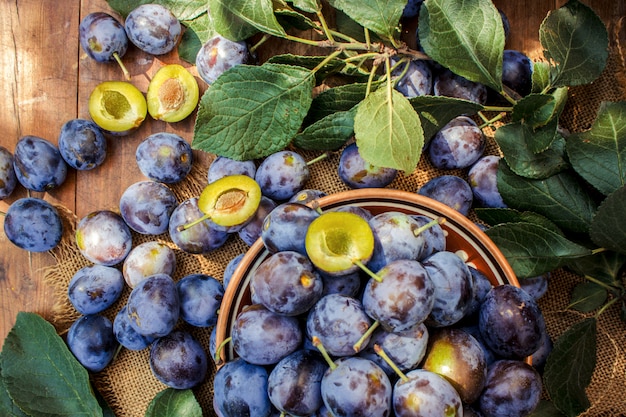 Hogar de ciruelas maduras para hacer mermelada. naturaleza.