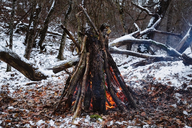 Hoguera en el bosque en invierno