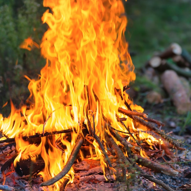 Hoguera en el bosque con llama de fuego grande