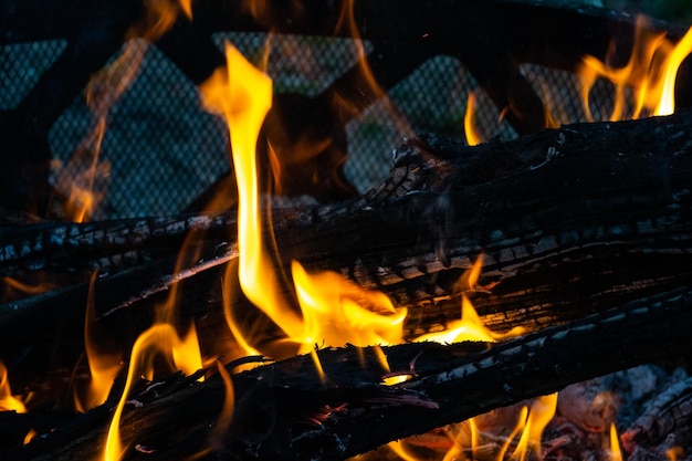 Hoguera de carbón de llamas de fuego nocturno