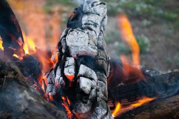 Hoguera de carbón de llamas de fuego nocturno