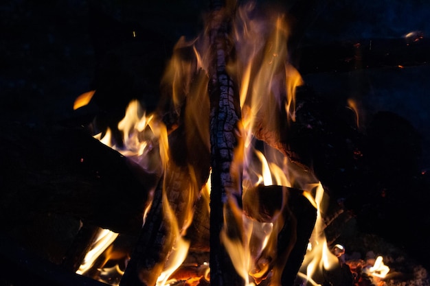 Hoguera de carbón de llamas de fuego nocturno