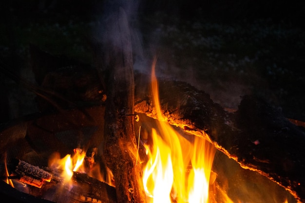 Hoguera de carbón de llamas de fuego nocturno