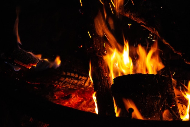 Hoguera de carbón de llamas de fuego nocturno