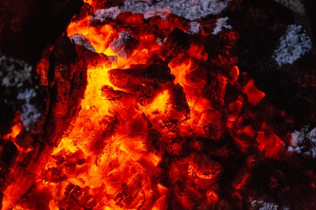 Hoguera de carbón de llamas de fuego nocturno