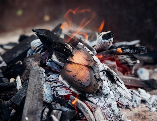 Una hoguera que arde brillantemente con una llama roja hecha de madera en una parrilla al aire libre Un estilo de vida aventurero en los viajes Recreación activa de fin de semana al aire libre