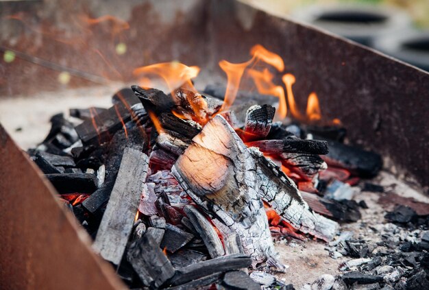 Una hoguera que arde brillantemente con una llama roja hecha de madera en una parrilla al aire libre Un estilo de vida aventurero en los viajes Recreación activa de fin de semana al aire libre