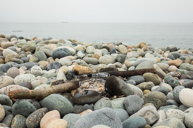 Hoguera quemada en la playa Basura después de la noche fogata en piedras