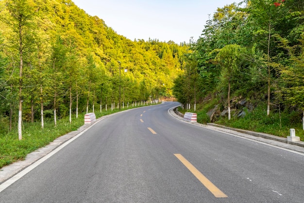 Hohe Asphaltstraße im Wald