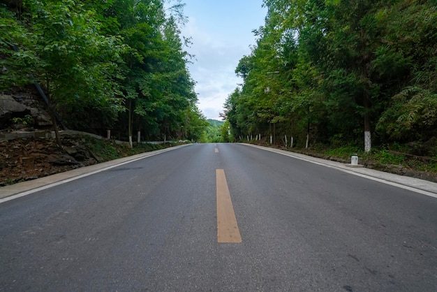 Hohe Asphaltstraße im Wald