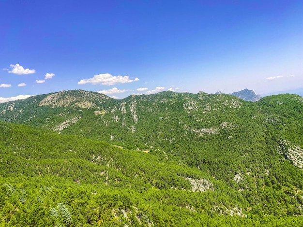 Hohe Berge in einem heißen tropischen Landberg mit grünen Büschen und Kräuterpflanzen und Sträuchern wachsen